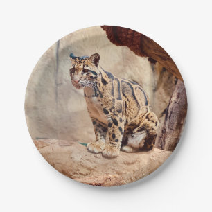 Prato De Papel foto de leopardo nebuloso natureza vida selvagem e