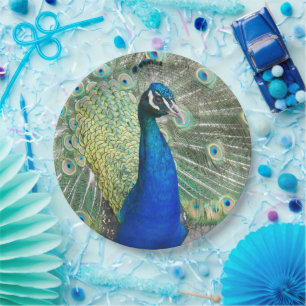 Prato De Papel Foto de Plumagem de Pena Azul
