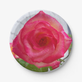 Prato De Papel Foto de uma rosa perto de uma placa de papel