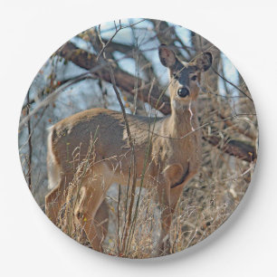 Prato De Papel Foto de Wildlife Deer Woods