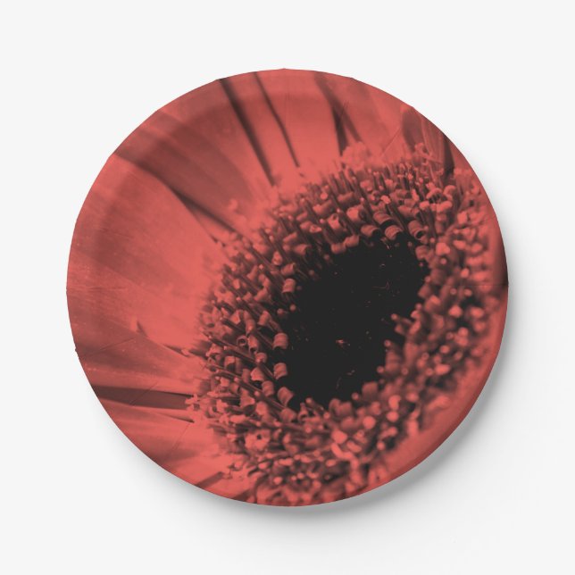 Prato De Papel Foto, macro (Frente)