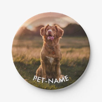 Prato De Papel Foto Personalizada Com O Nome Do Seu Cachorro