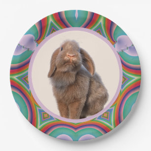 Prato De Papel Foto personalizada de Coelho Holland Lop com Arco-