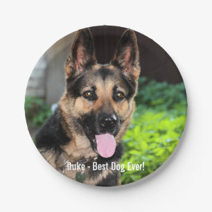 Prato De Papel Foto personalizada do cão de german shepherd, nom