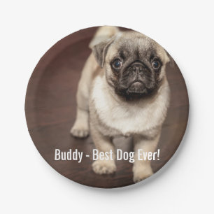 Prato De Papel Foto personalizada do cão do Pug e seu nome do c