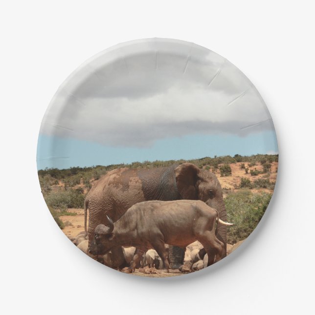 Prato De Papel Fotografia afro-selvagem Elefante Buffalo (Frente)