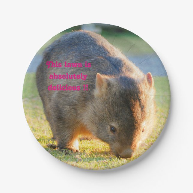 Prato De Papel Fotografia australiana de Wombat Funny Cute (Frente)