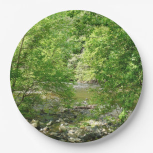 Prato De Papel Fotografia da Natureza do Rio Patapsco em Maryland