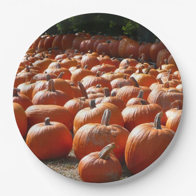 Prato De Papel Fotografia de Colheita de Colheita de Bombas (Frente)