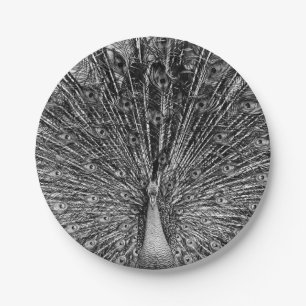 Prato De Papel Fotografia de Pavão Preto e Branco