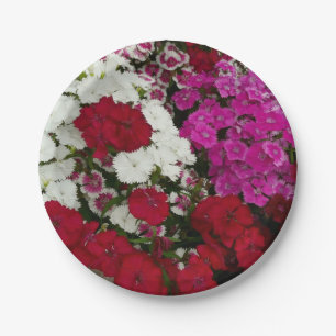 Prato De Papel Fotografia Floral Branca, Rosa e Dianthus Vermelha