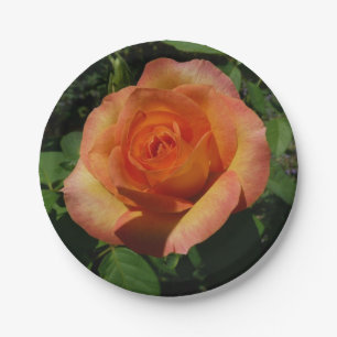 Prato De Papel Fotografia Floral Laranja Peach Rosa