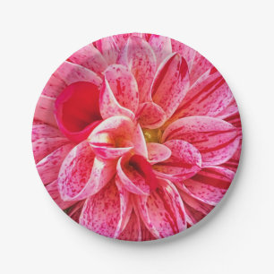 Prato De Papel Fotografia Floral Rosa contemporânea