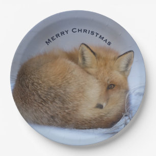 Prato De Papel Fox Raposa Bonita Enrolada Foto de inverno Natal
