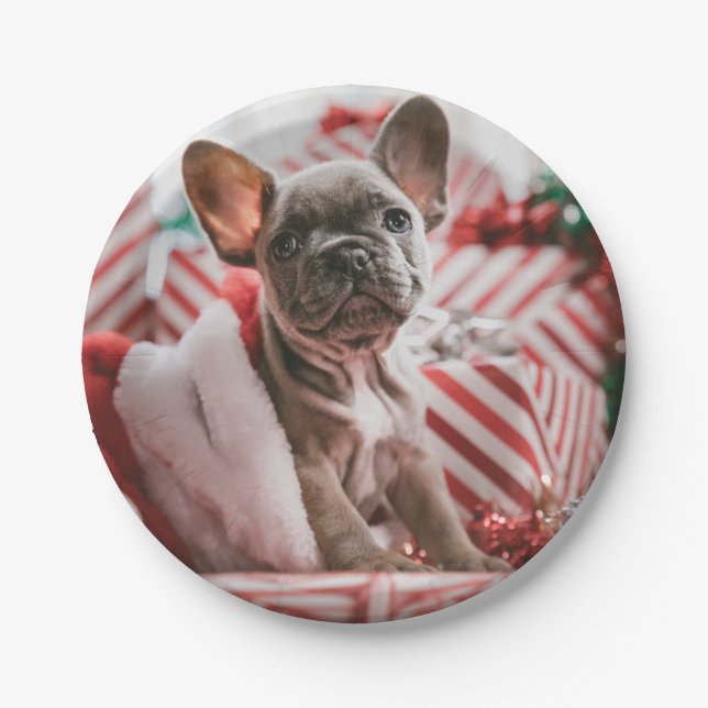 Prato De Papel French Bulldog in Christmas Hat (Frente)