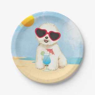 Prato De Papel Frise de Bichon de Verão