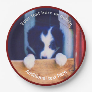 Prato De Papel Fronteira Collie Puppy Dog Art Partido Personaliza
