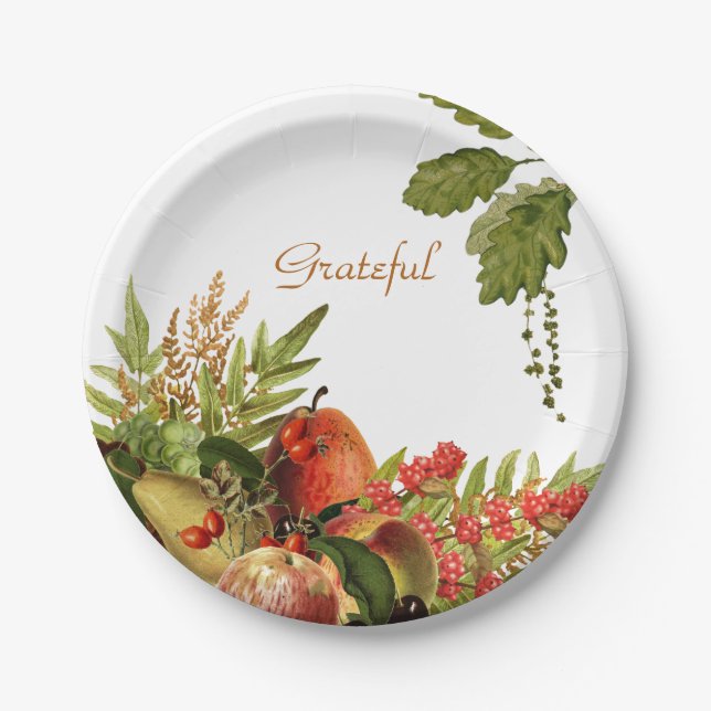 Prato De Papel Fruta em placas de papel (Frente)