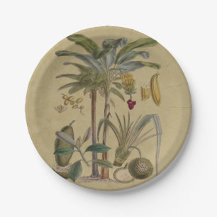 Prato De Papel Fruta Tropical Botânica de Palm