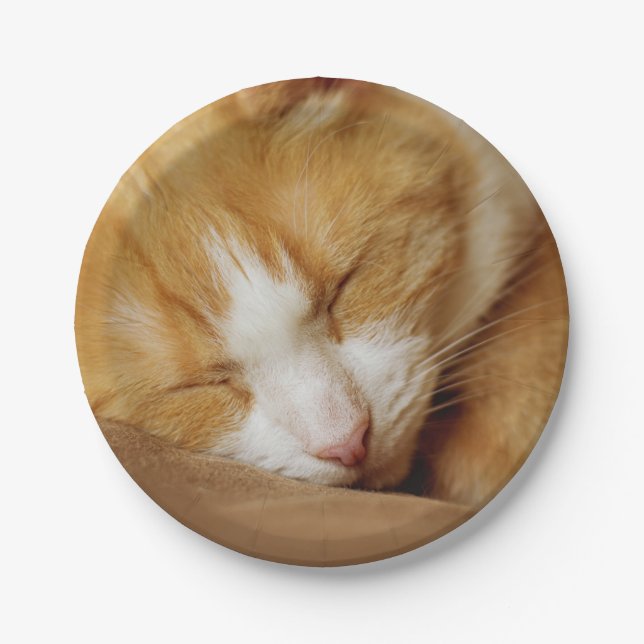 Prato De Papel Gatinho Dormindo (Frente)