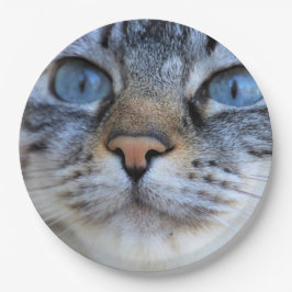 Prato De Papel Gato de cinza