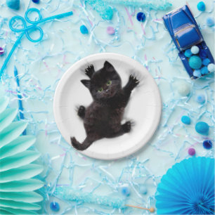 Prato De Papel Gato Negro Subindo Nas Costas Humanas