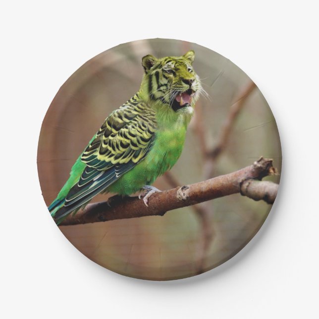 Prato De Papel Gato-Pássaro (Frente)