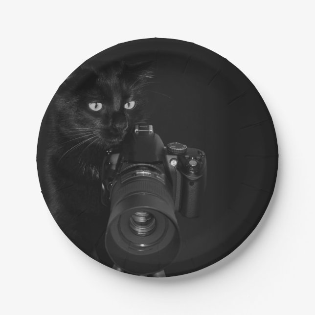 Prato De Papel Gato Preto Engraçado com a Câmera (Frente)