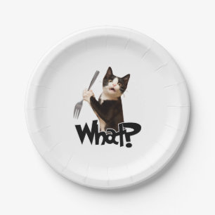 Prato De Papel Gato Que Gato Negro Engraçado, Gato Com Forte