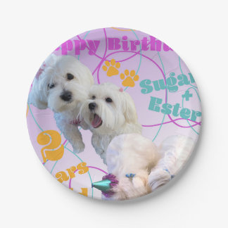 Prato De Papel Gêmeas malteses