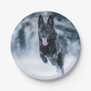 Prato De Papel German shepherd preto no Cobrir da escova de neve