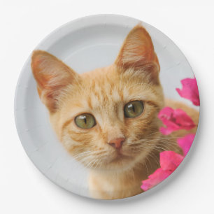 Prato De Papel Ginger Kitten Cute Assistindo, Festa Feliz
