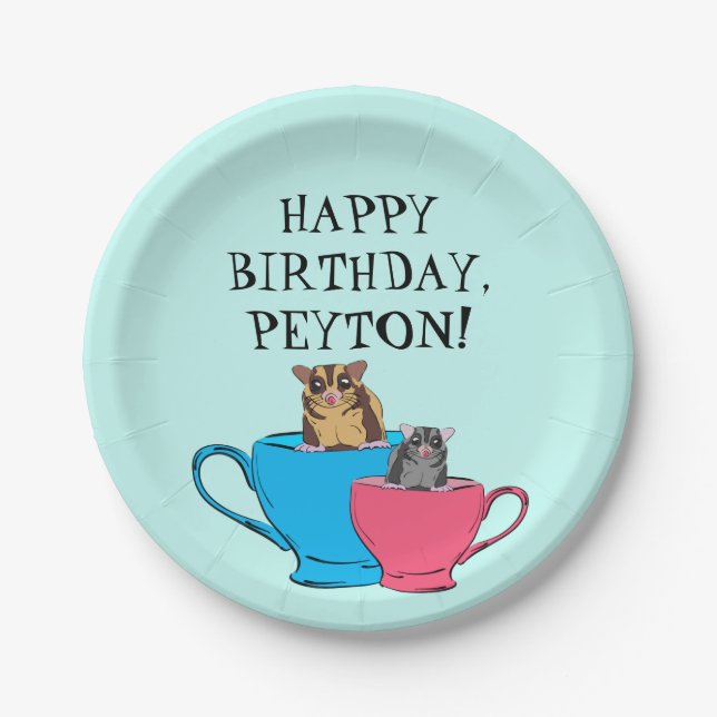 Prato De Papel Glider de Açúcar na Festa de aniversário Personali (Frente)