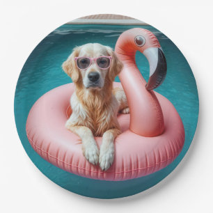 Prato De Papel Golden Retriever Flutuando em um Brinquedo de Pisc
