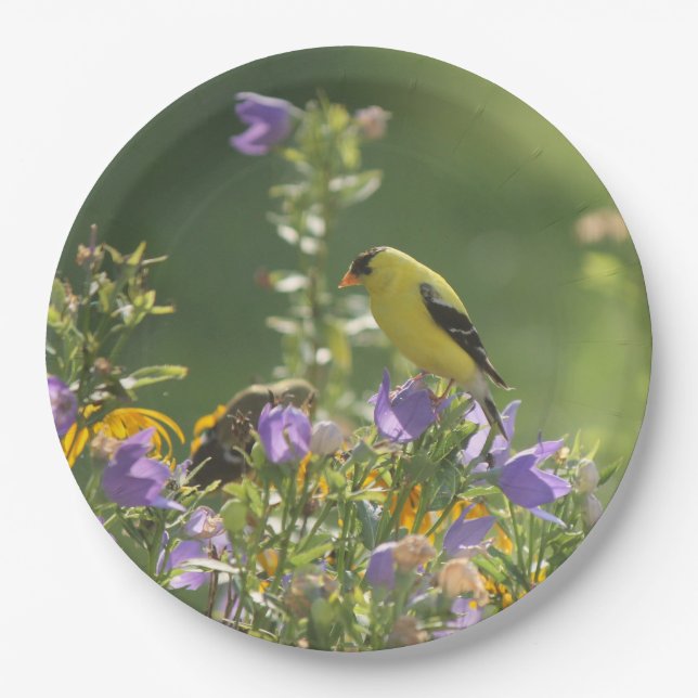 Prato De Papel Goldfinch em uma Flor Harebell (Frente)