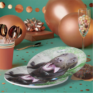 Prato De Papel Goofy Delights: Chocolate Brown Labrador Puppy,
