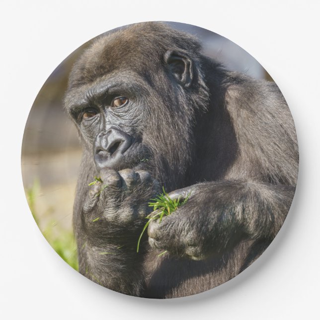 Prato De Papel Gorilla Youngster Napkin (Frente)