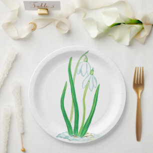 Prato De Papel Gotas de neve (Galanthus nivalis)