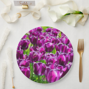 Prato De Papel Grande campo de tulipas roxas