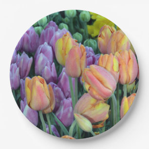 Prato De Papel Grupos de Coloful das tulipas
