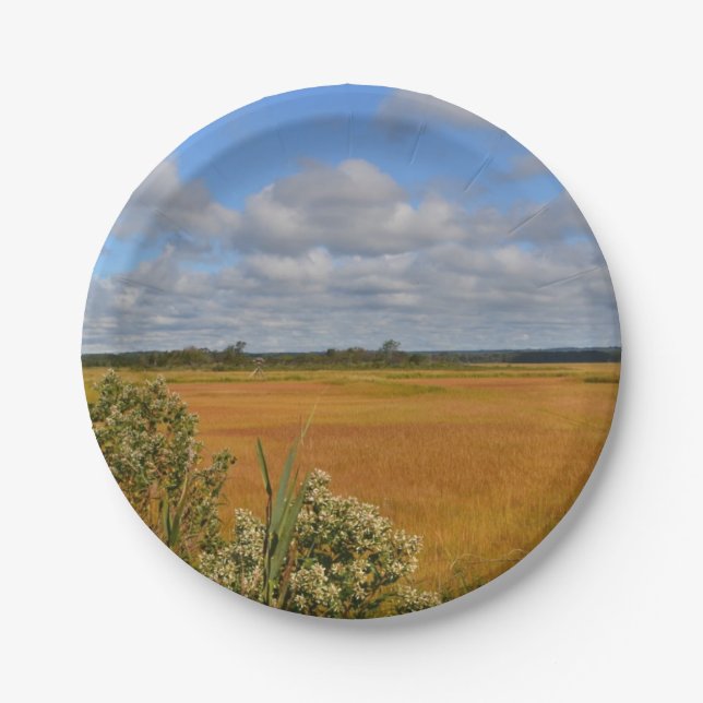 Prato De Papel Hammonasset Marsh Paper Plate (Frente)