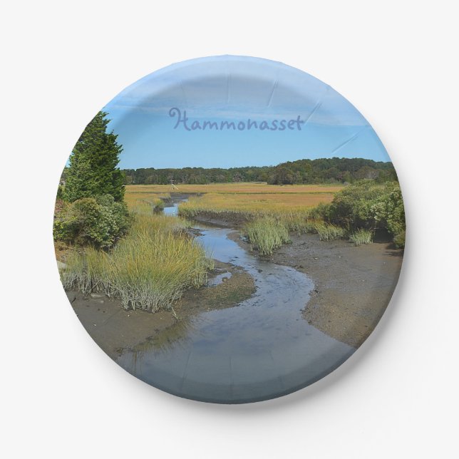 Prato De Papel Hammonasset Paper Plate (Frente)