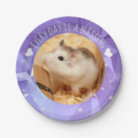 Hammyville - bênção bonito do hamster de Robo