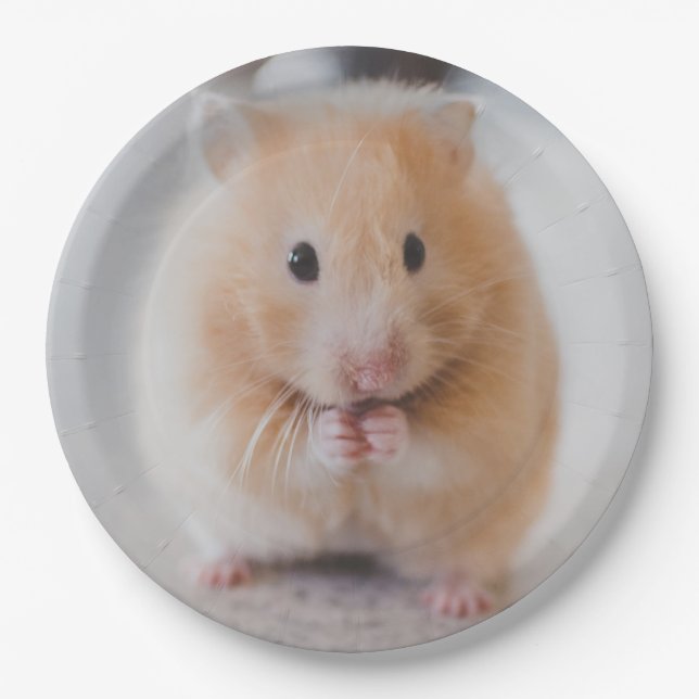Prato De Papel hamster (Frente)