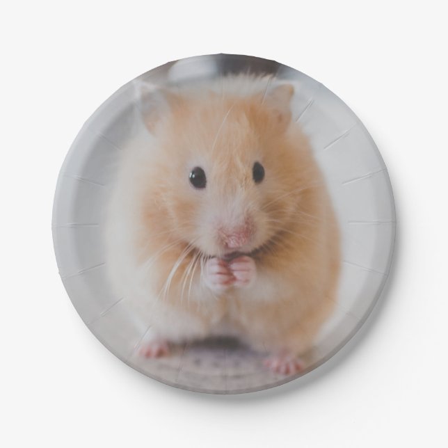 Prato De Papel hamster (Frente)