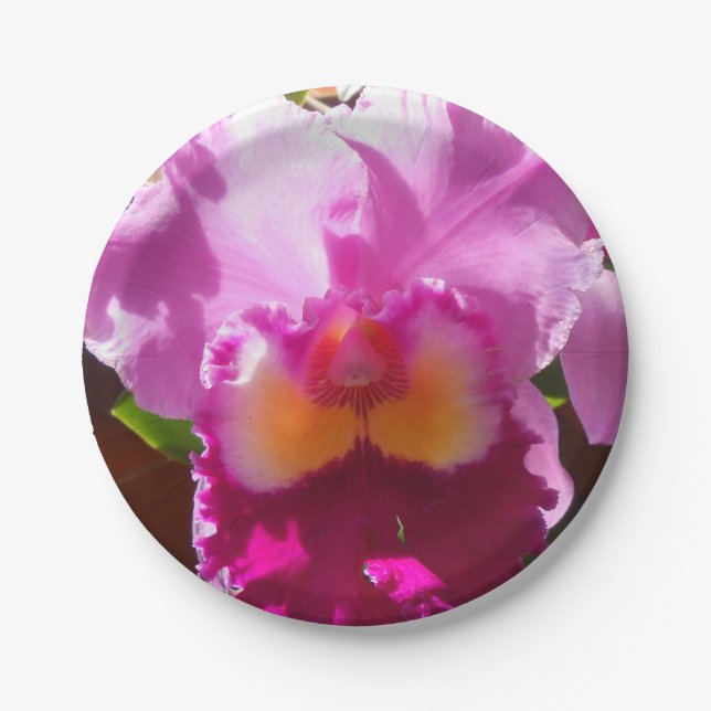 Prato De Papel Harlinde (Frente)