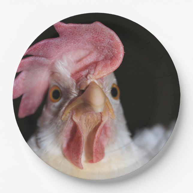 Prato De Papel Hen (Frente)