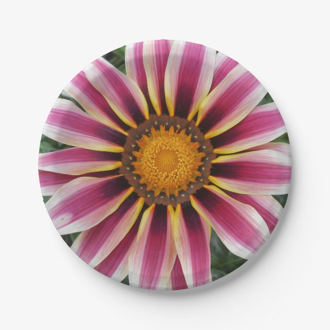 Prato De Papel Hereford (Frente)