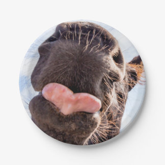 Prato De Papel Hetero da boca do cavalo Fotografia engraçada