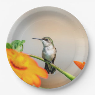 Prato De Papel Hummingbird numa floração